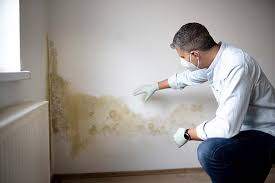 Best Commercial Mold Inspection  in Shannondale, WV